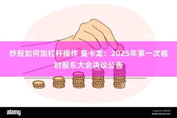 炒股如何加杠杆操作 曼卡龙：2025年第一次临时股东大会决议公告