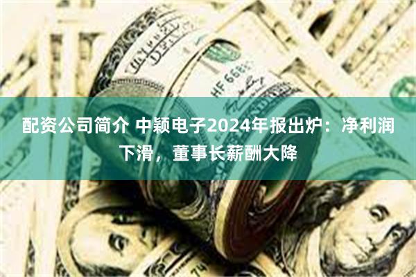 配资公司简介 中颖电子2024年报出炉：净利润下滑，董事长薪酬大降