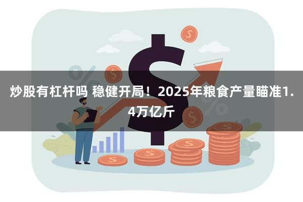炒股有杠杆吗 稳健开局！2025年粮食产量瞄准1.4万亿斤