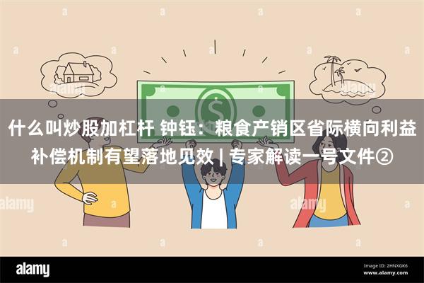 什么叫炒股加杠杆 钟钰：粮食产销区省际横向利益补偿机制有望落地见效 | 专家解读一号文件②