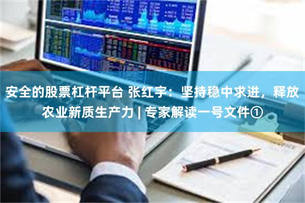 安全的股票杠杆平台 张红宇：坚持稳中求进，释放农业新质生产力 | 专家解读一号文件①