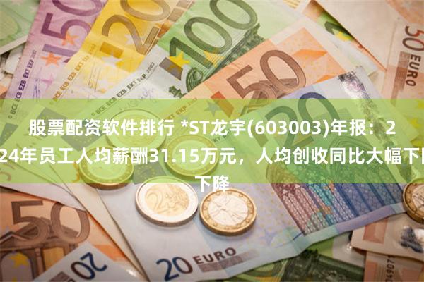 股票配资软件排行 *ST龙宇(603003)年报：2024年员工人均薪酬31.15万元，人均创收同比大幅下降