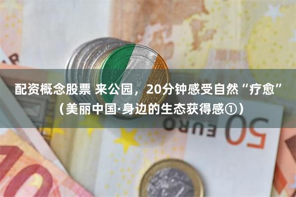 配资概念股票 来公园，20分钟感受自然“疗愈”（美丽中国·身边的生态获得感①）